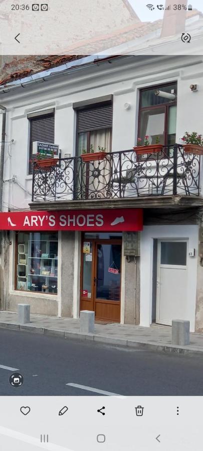 Cazare Centrum Curtea de Argeş Exterior foto